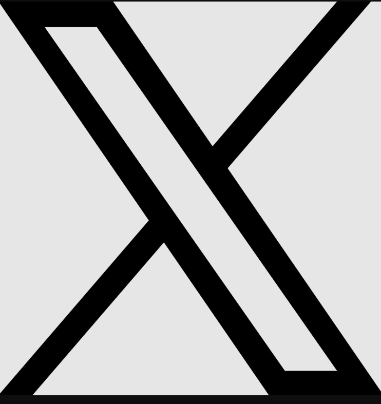 X (formerly Twitter)